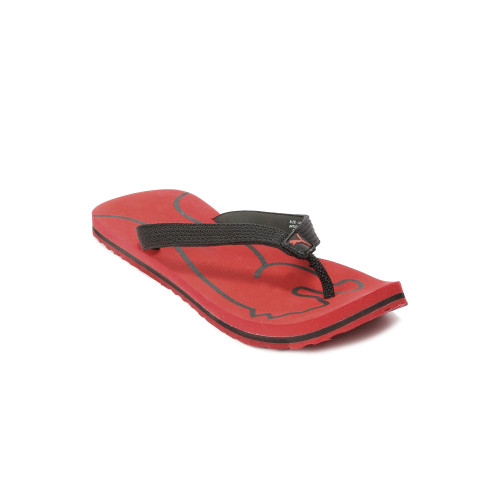Men Lynx Red Slipper