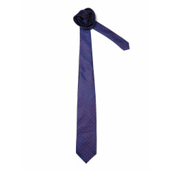 Peter England Men Elite Blue Tie