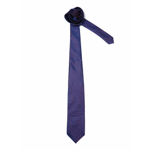 Peter England Men Elite Blue Tie