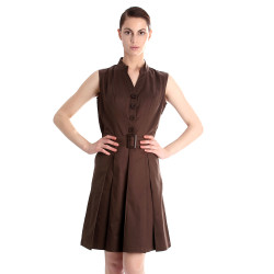 Women Brown Dress