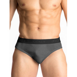ELANCE Men Grey Melange Brief 1008