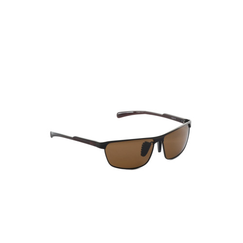 Men Brown Sunglasses