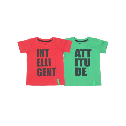 Boys Pack of 2 T-shirts