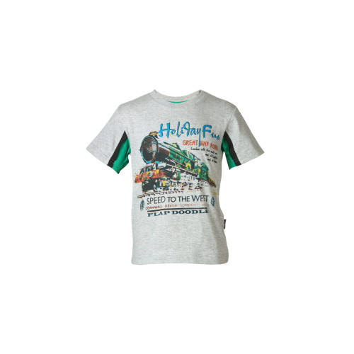 Boys Printed Grey T-shirt