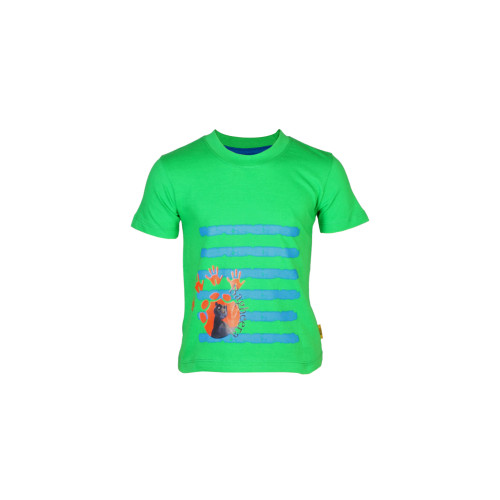 Jungle Book Boys Bagheera Green T-shirt