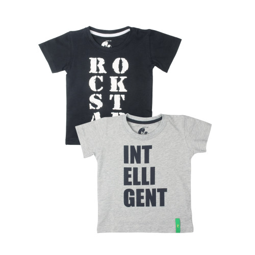 Boys Pack of 2 T-shirts