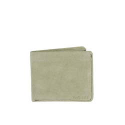 Heusen Men Beige Wallet