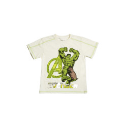 Avengers Boys Cream Printed T-shirt