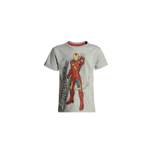 Avengers Boys Grey Printed T-shirt