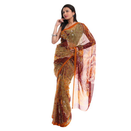 Multi Coloured Sari