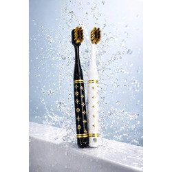 GentleTouch Brush